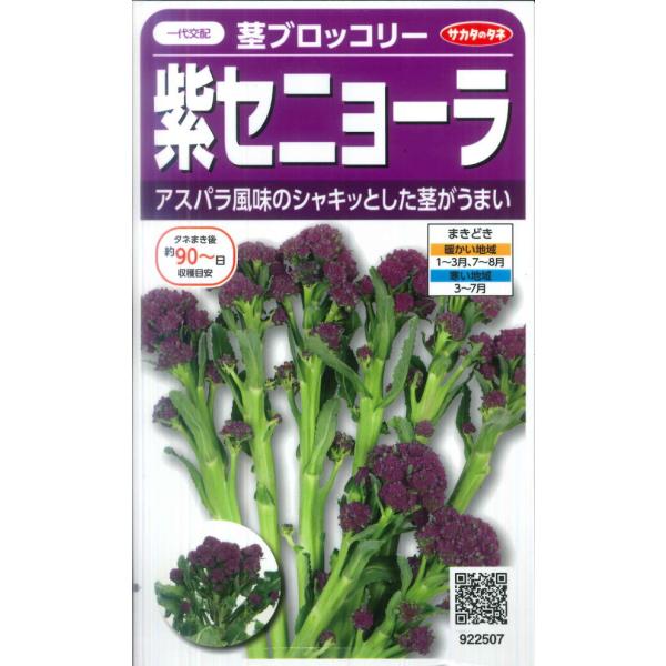 【茎ブロッコリー】紫セニョーラ【サカタのタネ】（20粒）野菜種[春まき][秋まき]922507