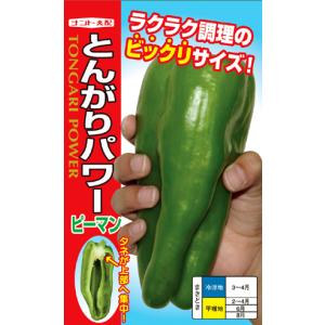 とんがりパワー（20粒）野菜種/ナント種苗[春まき]