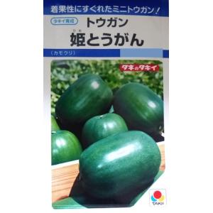 【トウガン】姫とうがん（カモウリ）【タキイ種苗】（9粒）野菜種[春まき]DF