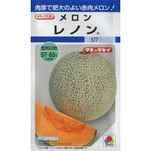 【メロン】レノン【タキイ交配】（6粒）野菜種[春まき]DF
