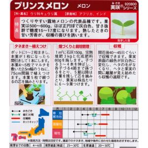 【メロンの種】プリンスメロン【サカタのタネ】(...の詳細画像1