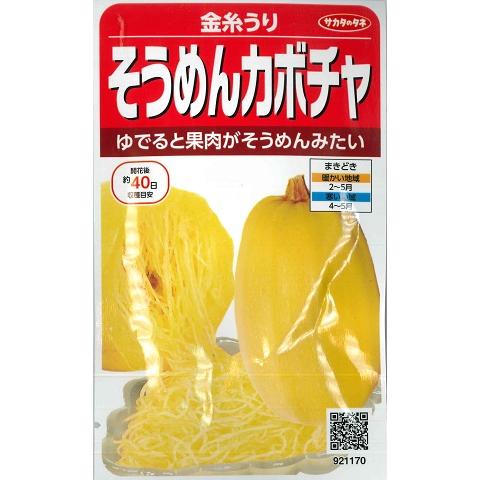 【金糸うり】そうめんかぼちゃ（金糸瓜/きんしうり）【サカタのタネ】（13ml）野菜種/そうめん南瓜[...