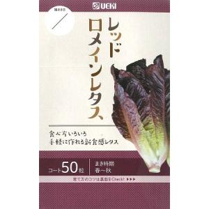 【横浜植木】レッドロメインレタス(コート種子50...の商品画像
