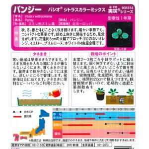 【パンジー】パシオ シトラスカラーミックス【サ...の詳細画像1