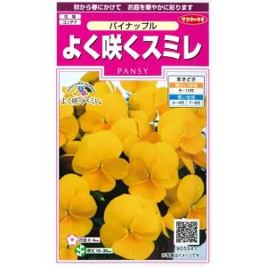 【パンジー】よく咲くスミレ【パイナップル】【サカ...の商品画像