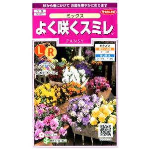 【パンジー】よく咲くスミレミックス【サカタのタネ...の商品画像