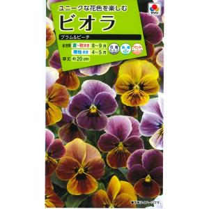 タキイ ビオラ 種の商品一覧 通販 Yahoo ショッピング