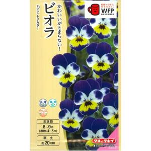 ビビ トリカラー