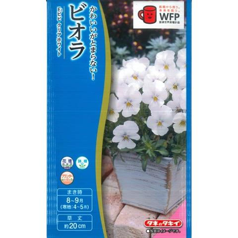 【ビオラ】ビビ クリアホワイト【タキイ種苗】（0.2ml）【耐寒性一年草】[秋まき]
