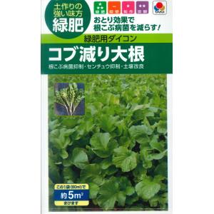 【緑肥用ダイコン】コブ減り大根（60ml）[春まき][秋まき]【タキイ種苗】