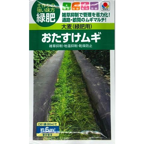 【緑肥用大麦】おたすけムギ（60ml）[春まき]【タキイ種苗】