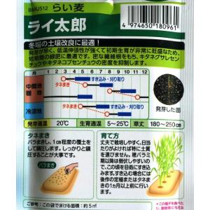 【緑肥(超極早生らい麦)】ライ太郎【タキイ種苗...の詳細画像1