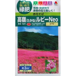 【緑肥（赤花そば）】 高嶺（たかね）ルビーNeo【タキイ種苗】（15ml）[秋まき]
