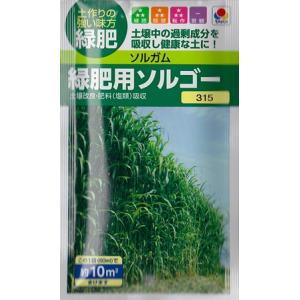 【緑肥（ソルガム）】緑肥用ソルゴー【タキイ種苗】（60ml）[春まき][秋まき]