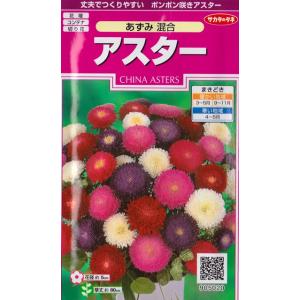 【アスター】あずみ混合【サカタのタネ】（1ml）【耐寒性一年草】[春まき][秋まき]905020