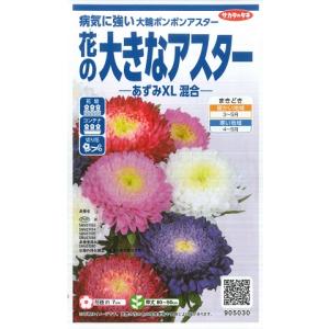 【アスター】花の大きなアスター　あずみXL混合【サカタのタネ】（100粒）【耐寒性一年草】[春まき]905030