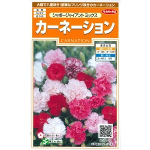 【カーネーション】シャボージャイアントミックス【サカタのタネ】（0.3ml）【耐寒性1年草】907100