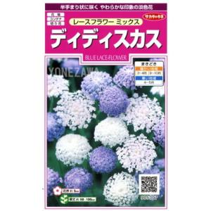 【レースフラワーミックス】ディディスカス【サカタのタネ】（1.2ml）【半耐寒性1年草】[春まき][秋まき]905307｜yonezawaengei