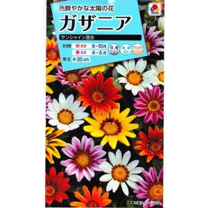 【ガザニア】サンシャイン混合【タキイ種苗】（0.2ml）[秋まき][春まき]