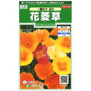 トーホク 花の種 ひまわり コンサートベル : イケダグリーンセンター