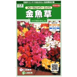 【金魚草】フローラルシャワーミックス【サカタのタ...の商品画像