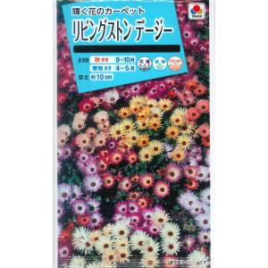 【リビングストンデージー】【タキイ種苗】（0.3ml）【半耐寒性一年草】[秋まき]