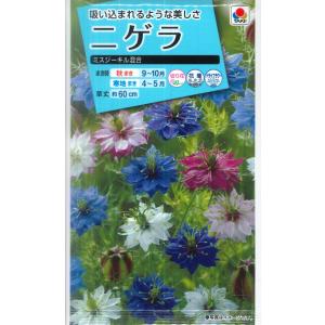 【ニゲラ（黒種草）】ミスジーキル【タキイ】（1.5ml）【暖地秋まき】【耐寒性一年草】[秋まき]FZZ775