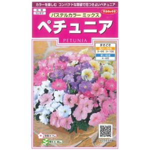 【ペチュニア】パステルカラーミックス【サカタのタネ】（50粒）【耐寒性1年草】早生品種[春まき][秋...