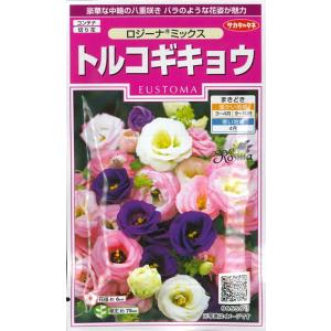 【トルコギキョウ】ロジーナミックス【サカタのタネ】コーティング種子（0.1ml）【耐寒性1〜2年草】...