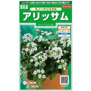 【アリッサム】スノークリスタル【サカタのタネ】（0.05ml）【耐寒性1年草】[春まき][秋まき]906078｜yonezawaengei