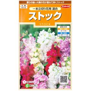 切り花用 種 花の種 の商品一覧 種 種子 花 ガーデニング 通販 Yahoo ショッピング