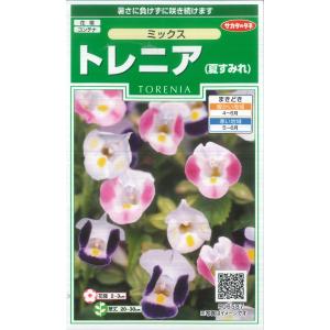 【トレニア】ミックス（夏すみれ）【サカタのタネ】（0.05ml）【1年草】[春まき]906587