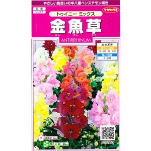【金魚草】トゥイニーミックス【サカタのタネ】(3...の商品画像