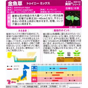 【金魚草】トゥイニーミックス【サカタのタネ】(...の詳細画像1