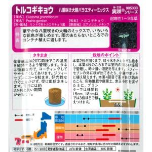【トルコギキョウ】八重咲き大輪バラエティーミッ...の詳細画像1