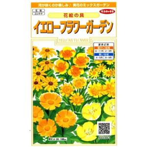【花絵の具】イエローフラワーガーデン【サカタのタネ】（5ml）【耐寒性一年草等】[秋まき][春まき]905903