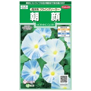 【朝顔】西洋系フライングソーサー（1ml）【サカタのタネ】906028｜Hana Uta 米沢園芸 Yahoo!店