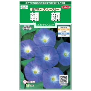 SK9-099 ブロッコリー種子 ペレット5000粒 【野菜種子】【サカタのタネ