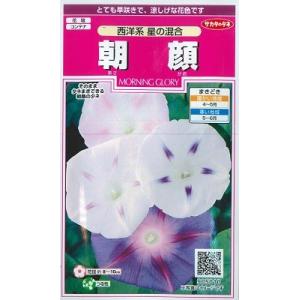 【朝顔】西洋系　星の混合【サカタのタネ】（1ml）アサガオ 905010