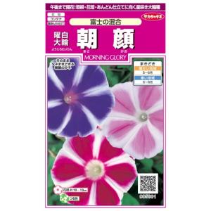 【朝顔】曜白大輪　富士の混合【サカタのタネ】（1ml）アサガオ 905001｜Hana Uta 米沢園芸 Yahoo!店