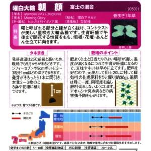 【朝顔】曜白大輪 富士の混合【サカタのタネ】(...の詳細画像1