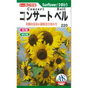花種 NL300 ひまわり F1 サンリッチライチLD 小袋 [FHM461]【花の種