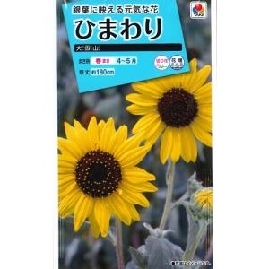 【ヒマワリの種】大雪山【タキイ種苗】（1.6ml）