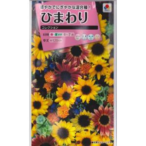 【ヒマワリの種】コレクション【タキイ人気商品】（2ml）[春まき]