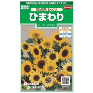 ひまわりの種 F1ホワイトライト（黄芯） 小袋 : 菜園くらぶ Yahoo!店