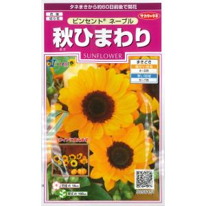 スプレー咲ミニひまわり 種・小袋 （1.2ml） F1（一代交配種