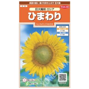 花の種 実咲花7541 ひまわり巨大輪咲ロシア : STYLE1187 - 通販