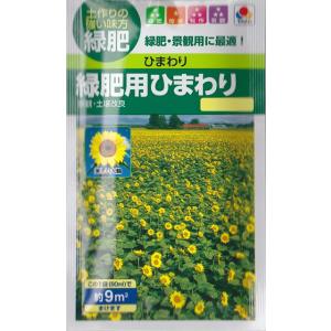 【ヒマワリの種】緑肥用ひまわり【タキイ種苗】60ml[春まき]