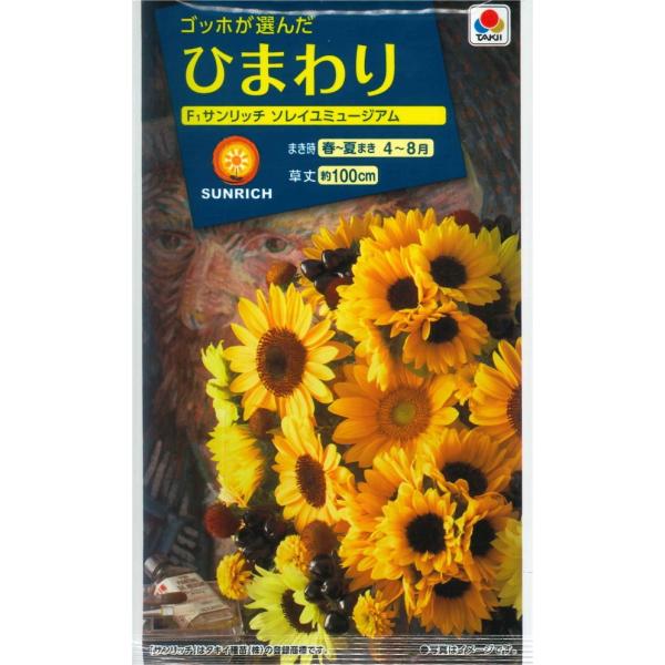 【太陽の花　ひまわり】F1サンリッチ ソレイユミュージアム【タキイ種苗】（3ml）[春まき][夏まき...