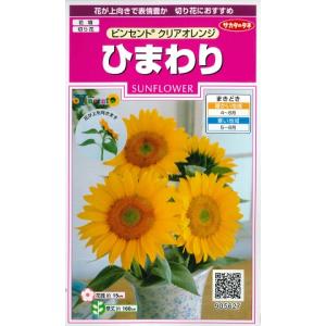 ひまわりの種サマ御依頼品！新浜レオン様セット 61Uy+ktp3TL._UF350,350_QL50_.jpg